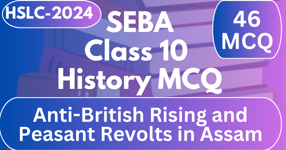 history chapter 3 class 10 seba mcq