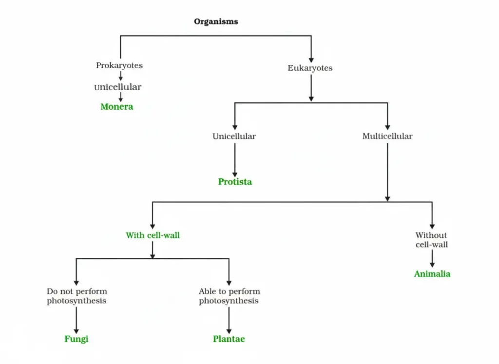 The Five Kingdom classification