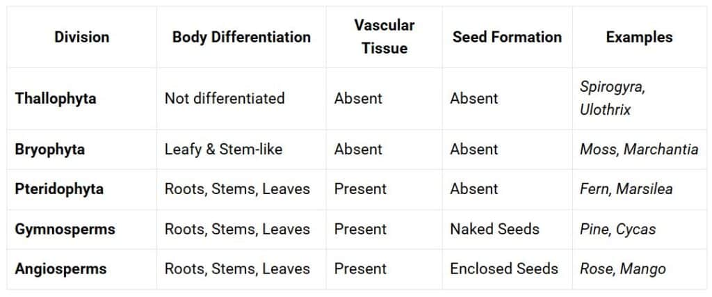 summary table of division of planate
