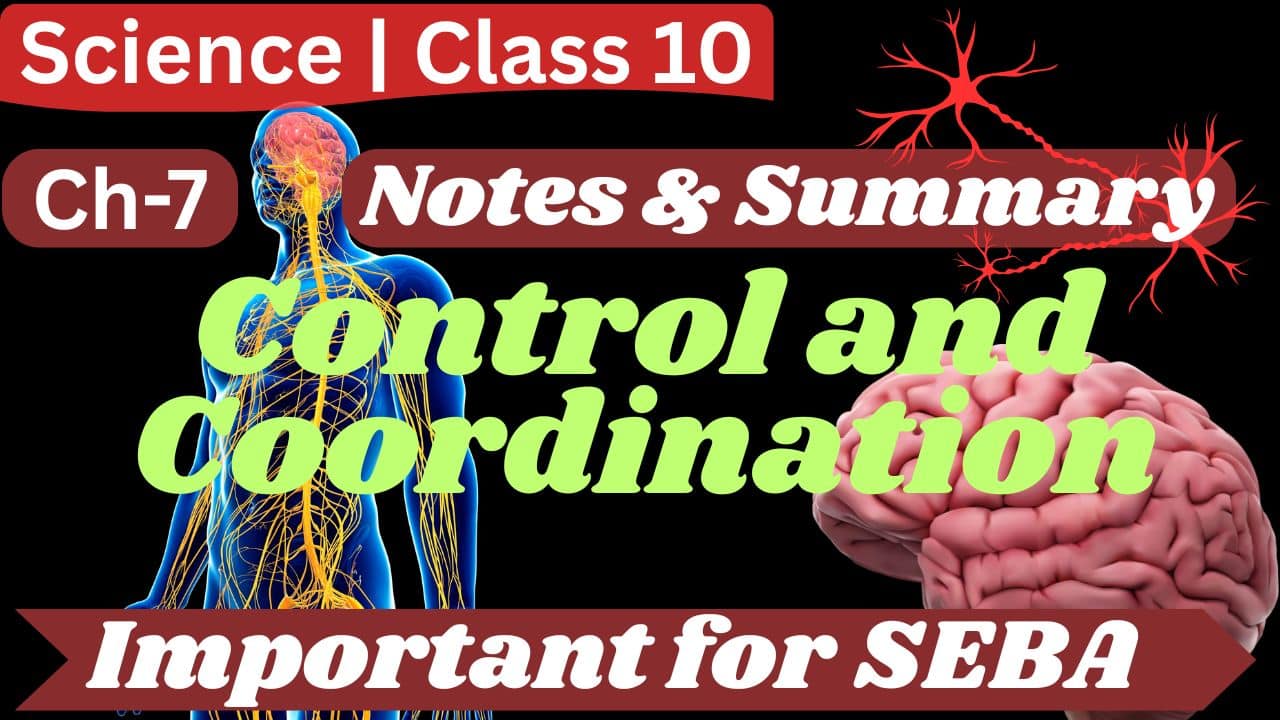 Class 10 Science Notes Chapter 7 Control and Coordination