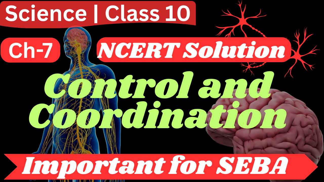 NCERT Solutions for Class 10 Science Chapter 7 Control and Coordination